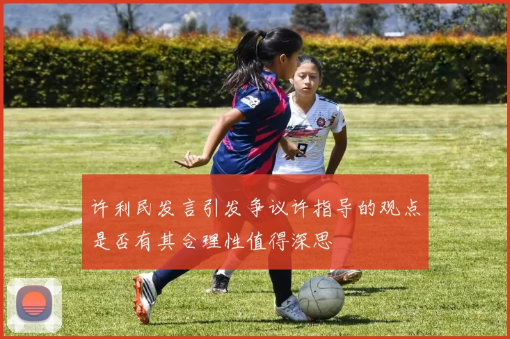 许利民发言引发争议许指导的观点是否有其合理性值得深思
